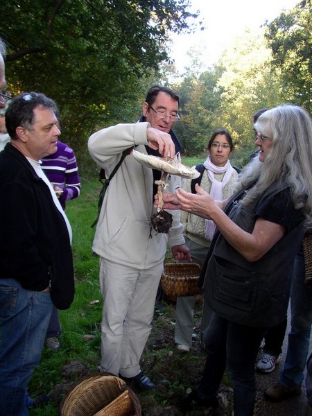 2011 10 02 Baies et champignons 06